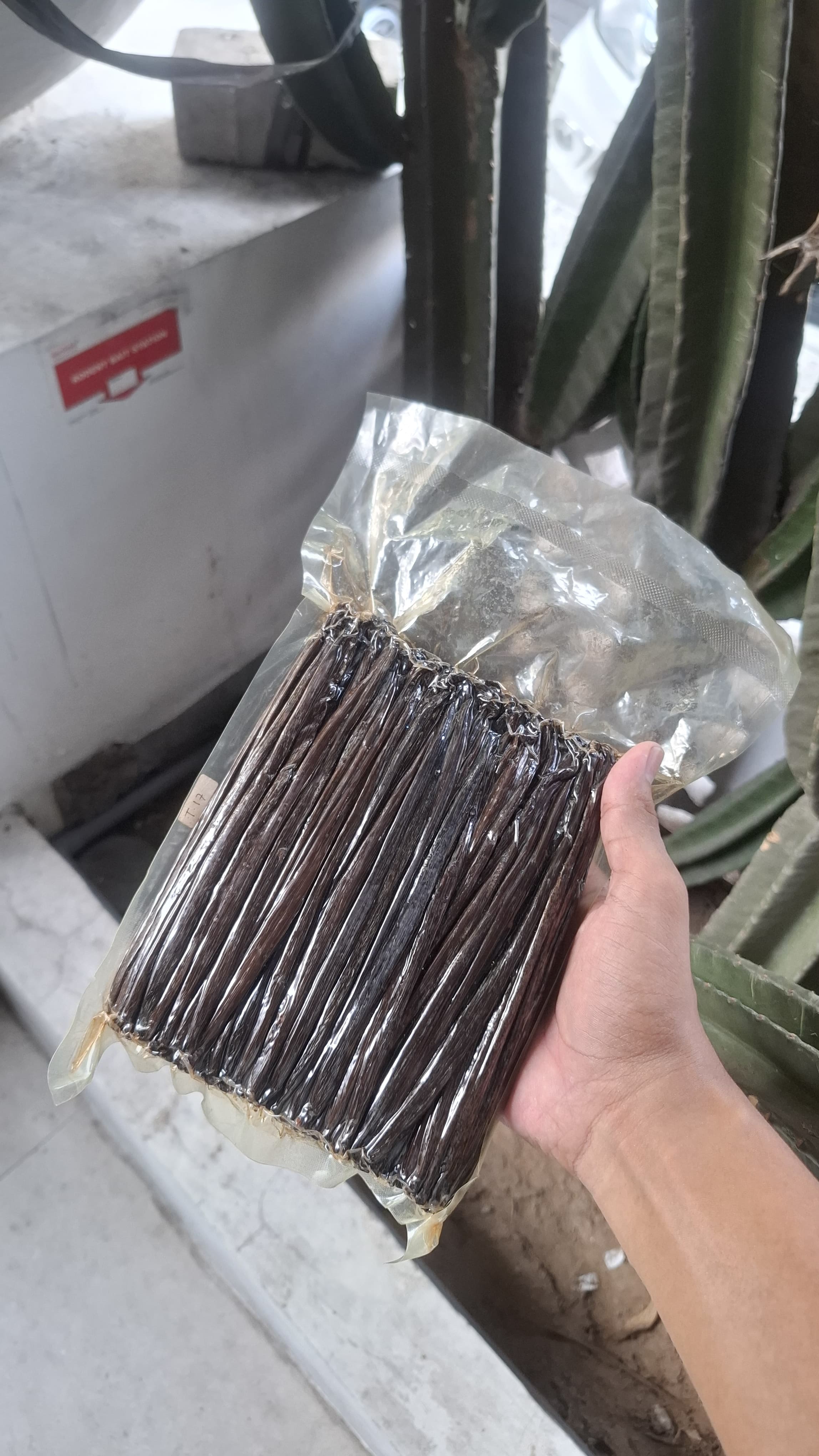 Premium Indonesian vanilla beans — Grade A